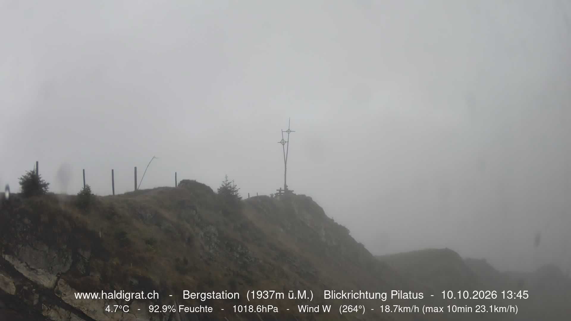 Wolfenschiessen › Westen: Haldigrat