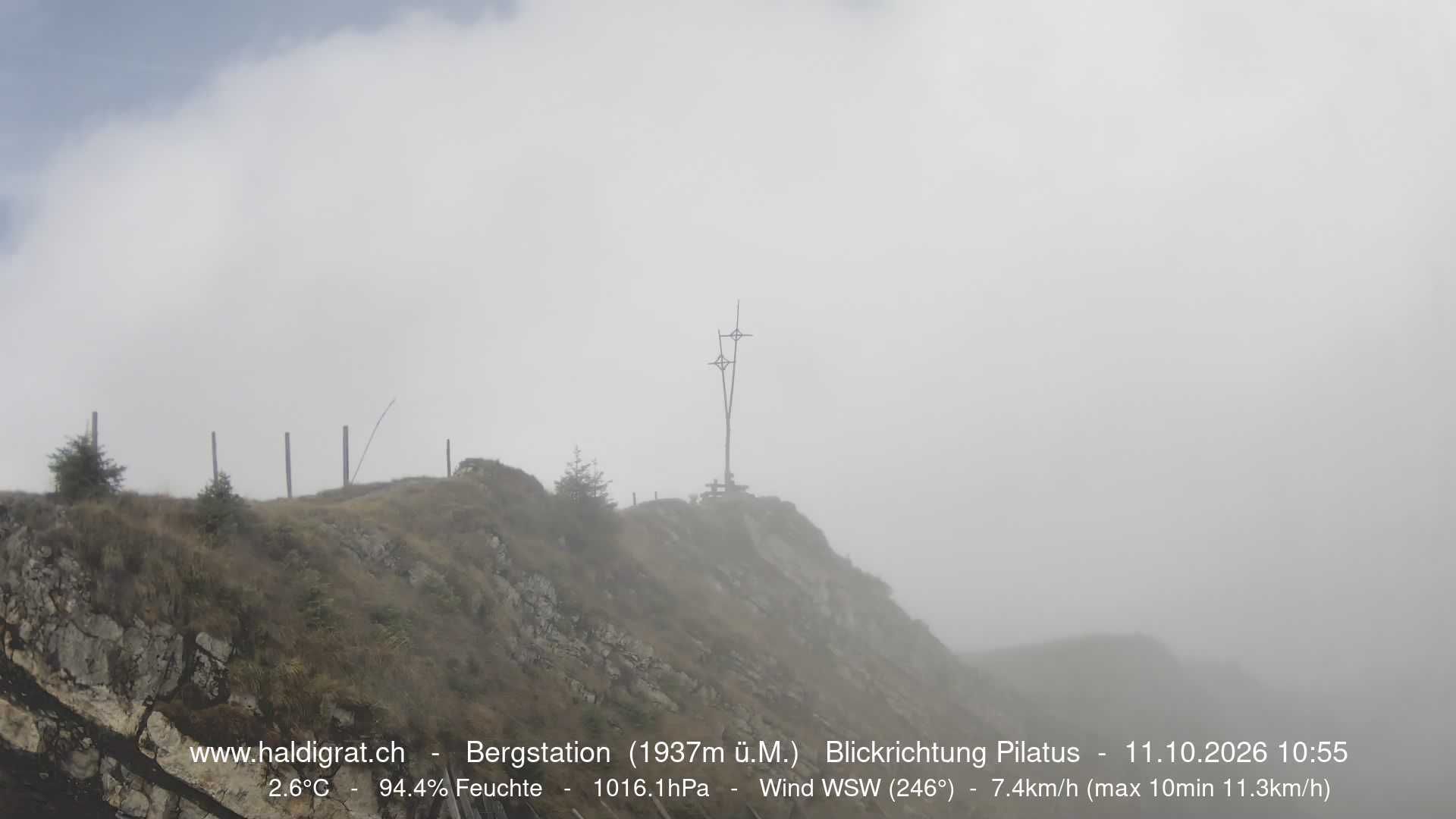 Wolfenschiessen › Westen: Haldigrat