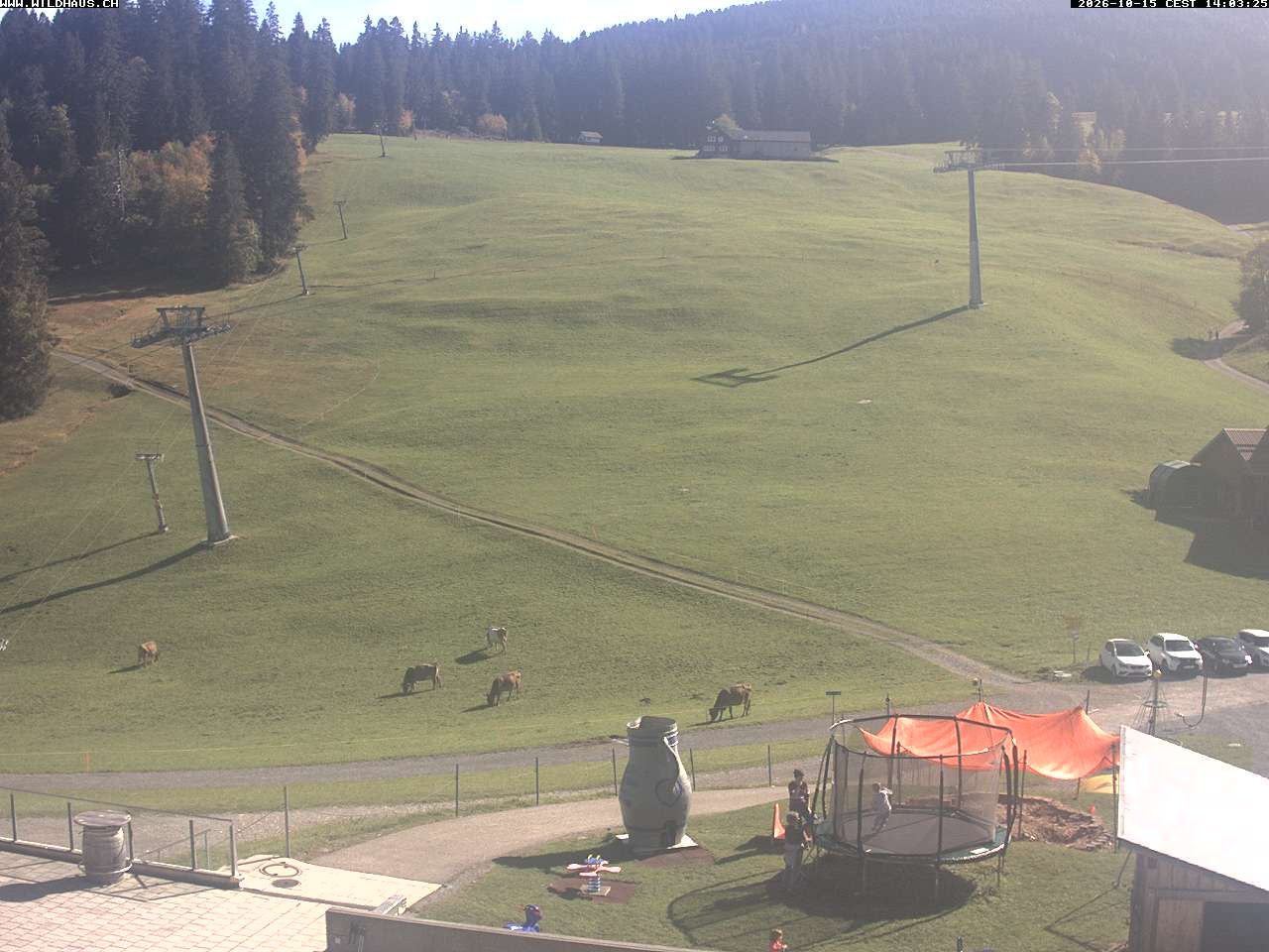 Wildhaus: Oberdorf
