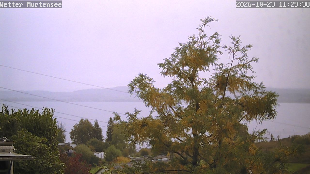 Vully-les-Lacs: Lake Murten