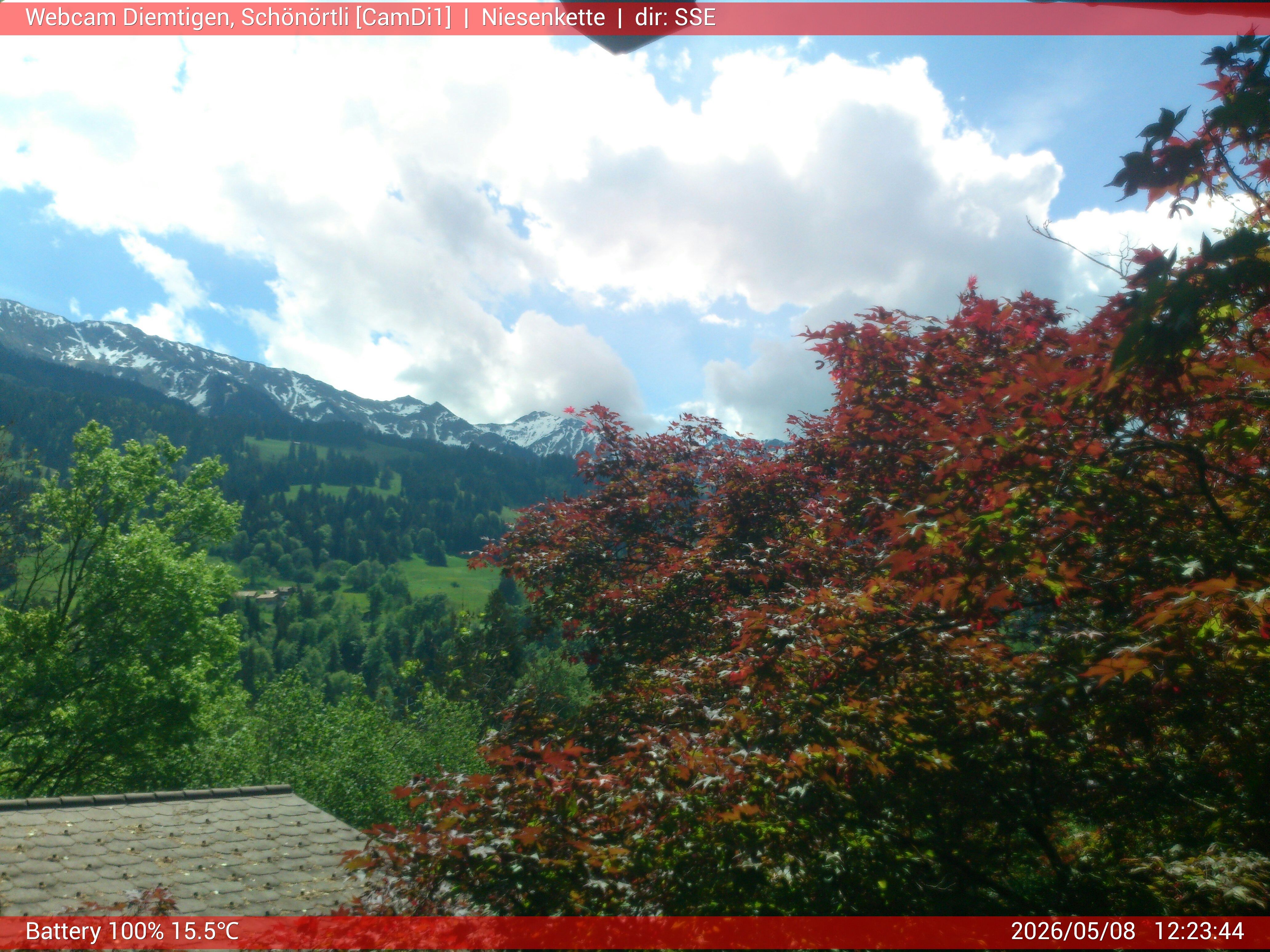 Diemtigen › Süden: Diemtigtal - Hohniesen - Schwarzenberg