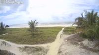 Zanzibar City: Paje Beach - Tanania - Day time