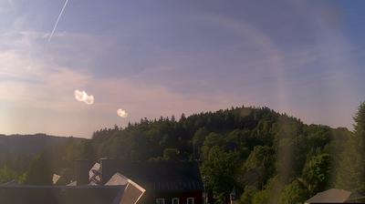 Ammelsdorf forest webcam