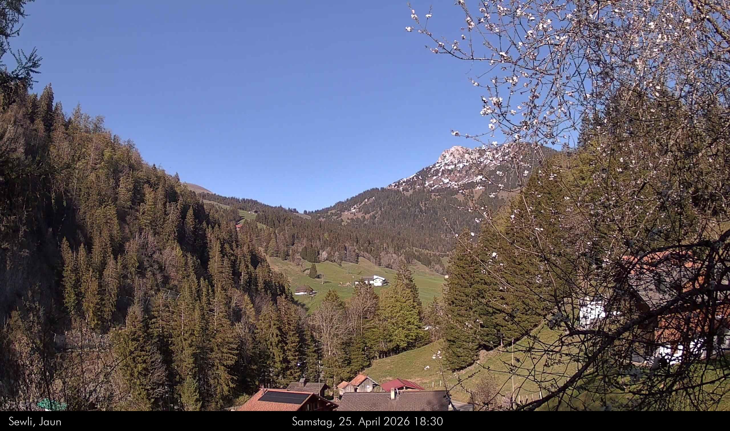 Jaun › Nordosten: Reidigenstrasse - Bäderhore