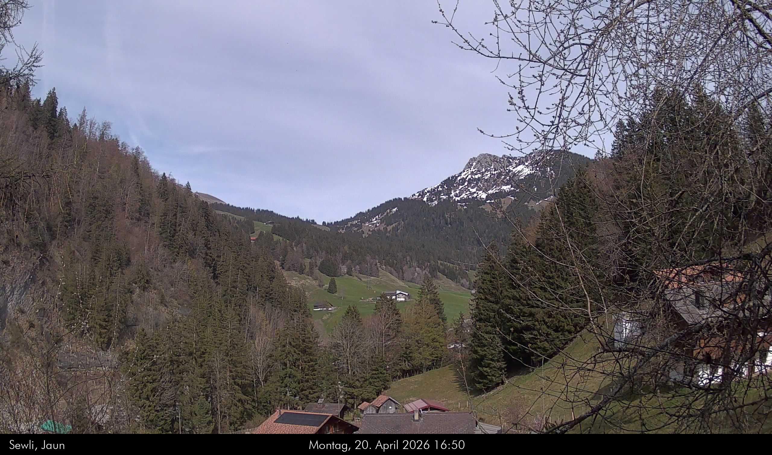 Jaun › Nordosten: Reidigenstrasse - Bäderhore