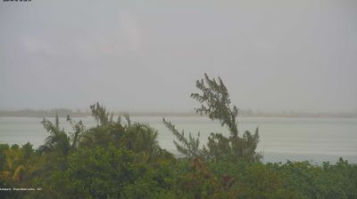 Providenciales › North-East: Blue Haven Marina - Mangrove Cay