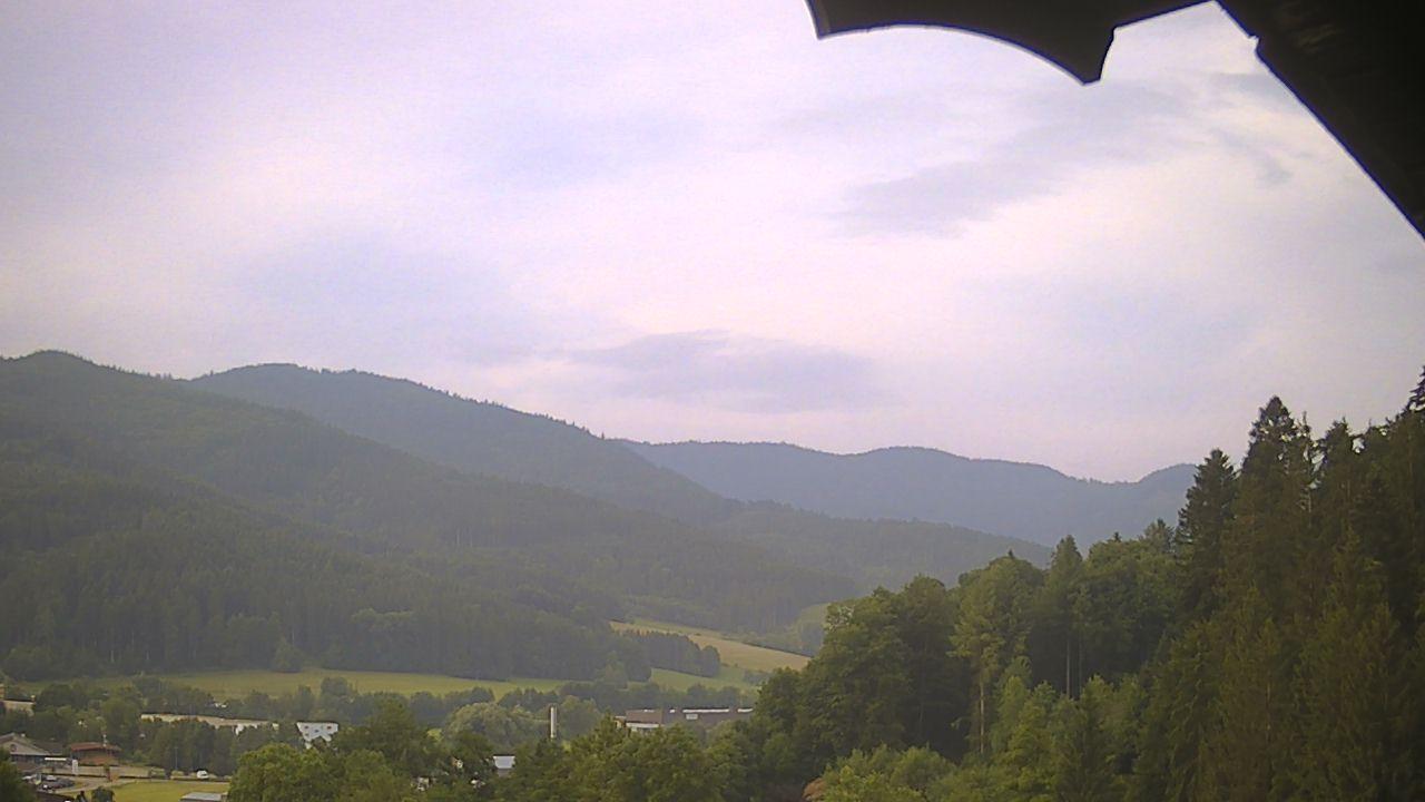 Risslersberg forest Webcam