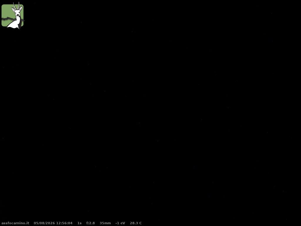Traffic Cam Briga Alta › East