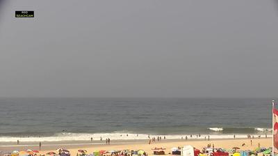 Pataias hoje