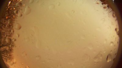 Schwäbisch Gmünd Huidige Webcam Image