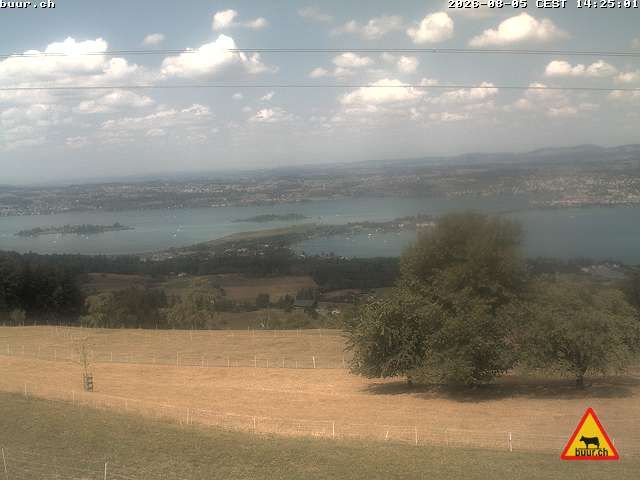 Altendorf › Norden: Freienbach-Hurden-Seefeld - Ledigatter (Seedammdurchlass) - Seedamm - Holzbrücke Rapperswil-Hurden
