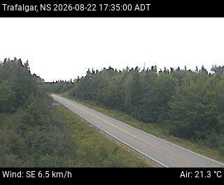 Traffic Cam Trafalgar