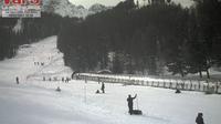 Vars: Point Show - m
