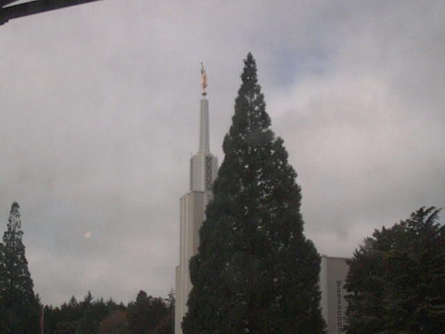 Zollikofen: Mormon Temple - view out of the Computer-Helpcenter Shop-Windows