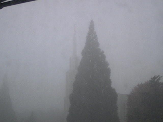 Zollikofen: Mormon Temple - view out of the Computer-Helpcenter Shop-Windows