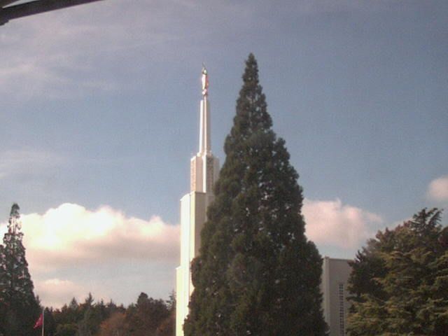 Zollikofen: Mormon Temple - view out of the Computer-Helpcenter Shop-Windows