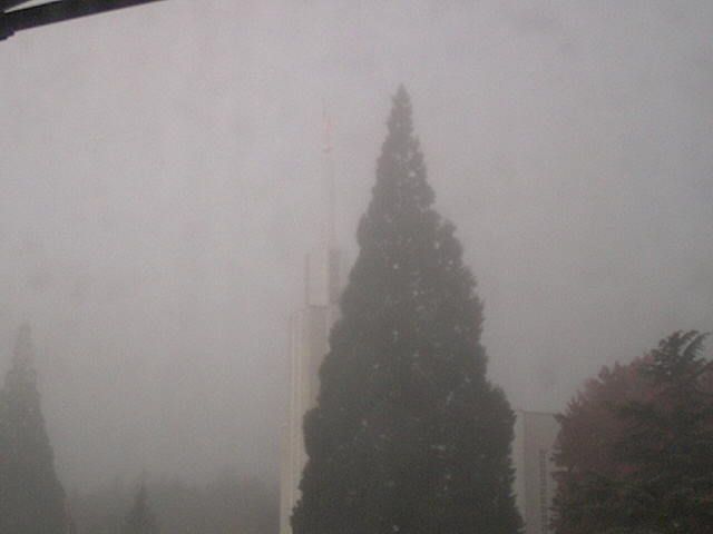 Zollikofen: Mormon Temple - view out of the Computer-Helpcenter Shop-Windows