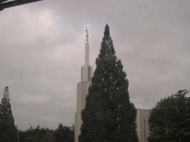 Zollikofen: Mormon Temple - view out of the Computer-Helpcenter Shop-Windows