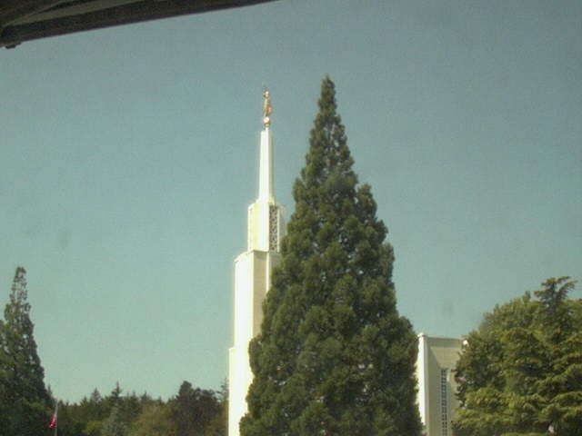 Zollikofen: Mormon Temple - view out of the Computer-Helpcenter Shop-Windows