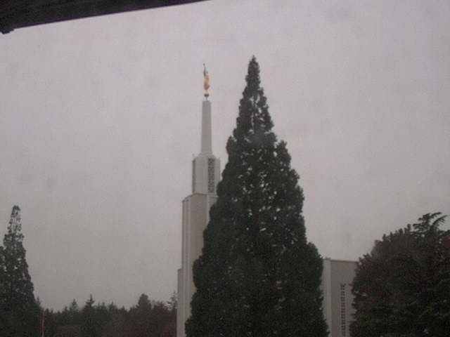 Zollikofen: Mormon Temple - view out of the Computer-Helpcenter Shop-Windows