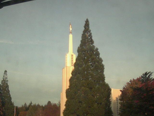 Zollikofen: Mormon Temple - view out of the Computer-Helpcenter Shop-Windows