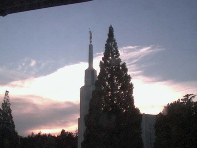 Zollikofen: Mormon Temple - view out of the Computer-Helpcenter Shop-Windows