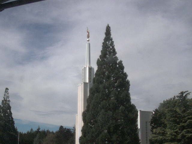 Zollikofen: Mormon Temple - view out of the Computer-Helpcenter Shop-Windows