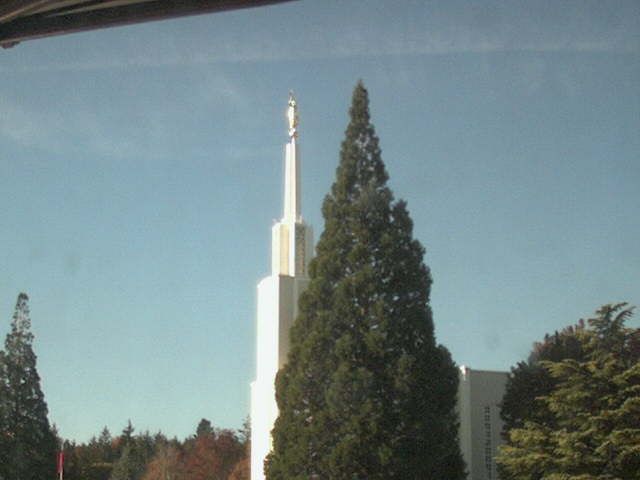 Zollikofen: Mormon Temple - view out of the Computer-Helpcenter Shop-Windows