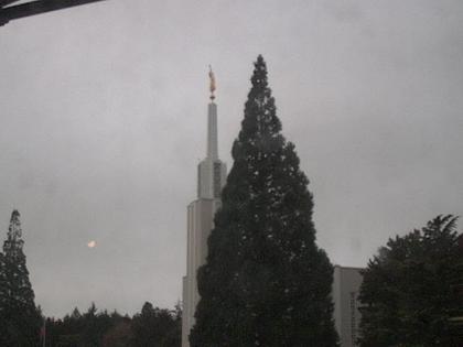 Zollikofen: Mormon Temple - view out of the Computer-Helpcenter Shop-Windows