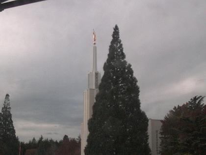 Zollikofen: Mormon Temple - view out of the Computer-Helpcenter Shop-Windows