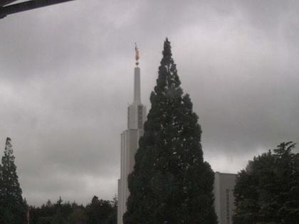 Zollikofen: Mormon Temple - view out of the Computer-Helpcenter Shop-Windows