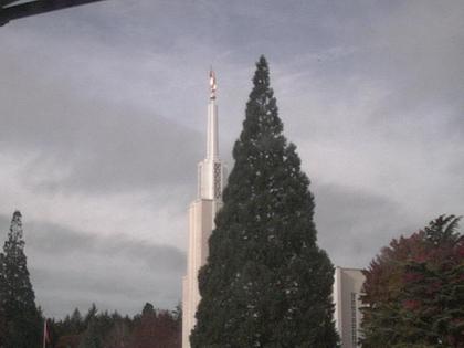 Zollikofen: Mormon Temple - view out of the Computer-Helpcenter Shop-Windows