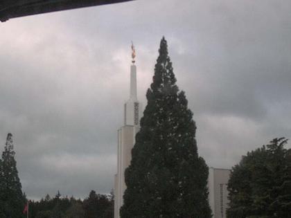 Zollikofen: Mormon Temple - view out of the Computer-Helpcenter Shop-Windows