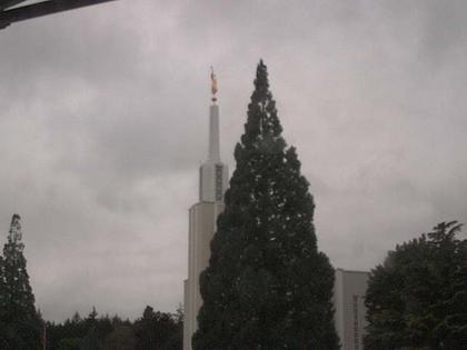 Zollikofen: Mormon Temple - view out of the Computer-Helpcenter Shop-Windows