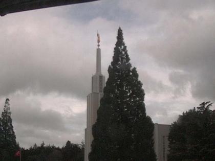 Zollikofen: Mormon Temple - view out of the Computer-Helpcenter Shop-Windows