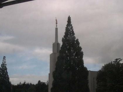 Zollikofen: Mormon Temple - view out of the Computer-Helpcenter Shop-Windows