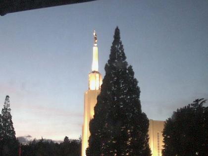 Zollikofen: Mormon Temple - view out of the Computer-Helpcenter Shop-Windows