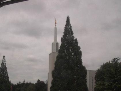 Zollikofen: Mormon Temple - view out of the Computer-Helpcenter Shop-Windows