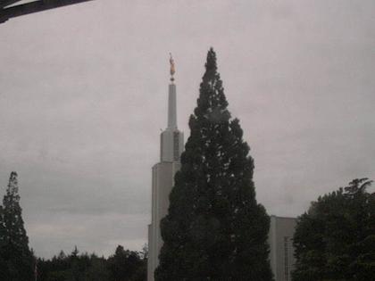 Zollikofen: Mormon Temple - view out of the Computer-Helpcenter Shop-Windows