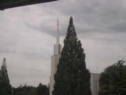 Zollikofen: Mormon Temple - view out of the Computer-Helpcenter Shop-Windows