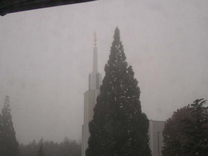 Zollikofen: Mormon Temple - view out of the Computer-Helpcenter Shop-Windows