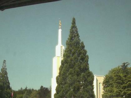 Zollikofen: Mormon Temple - view out of the Computer-Helpcenter Shop-Windows