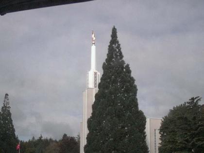 Zollikofen: Mormon Temple - view out of the Computer-Helpcenter Shop-Windows