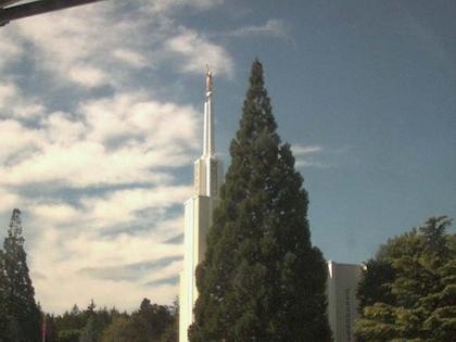 Zollikofen: Mormon Temple - view out of the Computer-Helpcenter Shop-Windows