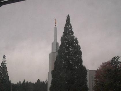 Zollikofen: Mormon Temple - Bern, Schweiz (view out of the Computer-Helpcenter Shop-Windows)