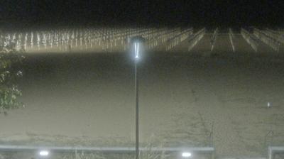 immagine della webcam nei dintorni di Lignano Sabbiadoro: webcam Bibione