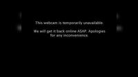 Christchurch › South: SH Burlington St