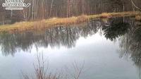 Borensberg: Norrbyströmmen