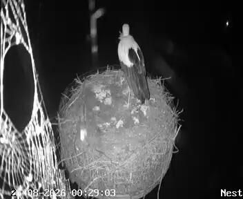 Traffic Cam Midden-Drenthe