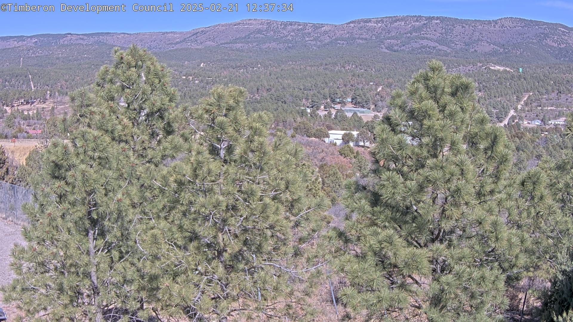 Traffic Cam Timberon › North-East